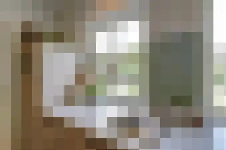 De Vijzel 4 Hapert thumbnail 17
