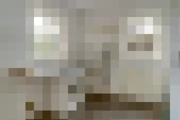 De Vijzel 4 Hapert thumbnail 19