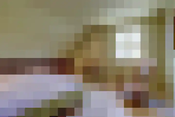 De Vijzel 4 Hapert thumbnail 21