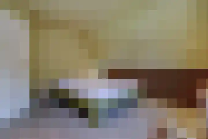 De Vijzel 4 Hapert thumbnail 22