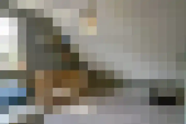 De Vijzel 4 Hapert thumbnail 23