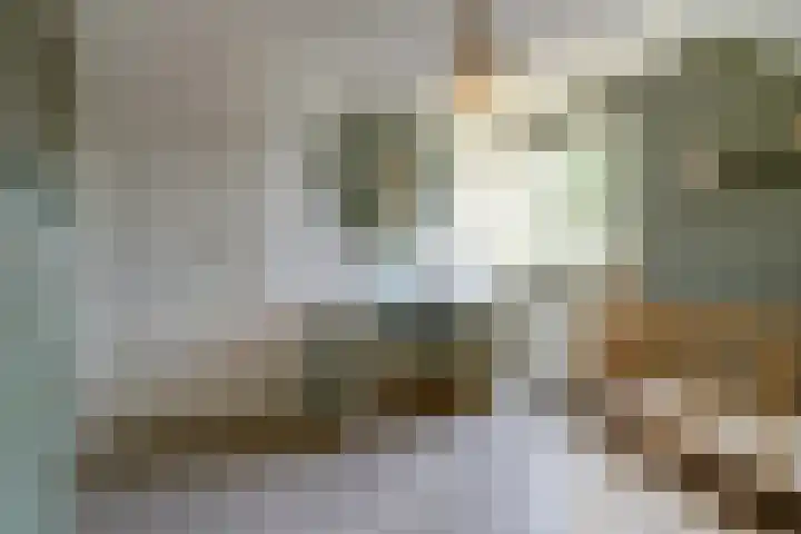 De Vijzel 4 Hapert thumbnail 24