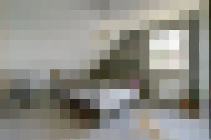 De Vijzel 4 Hapert thumbnail 25