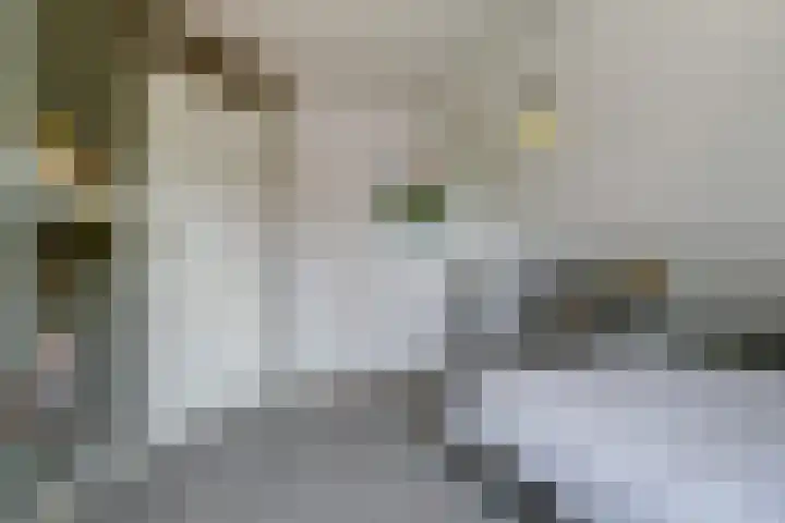 De Vijzel 4 Hapert thumbnail 26