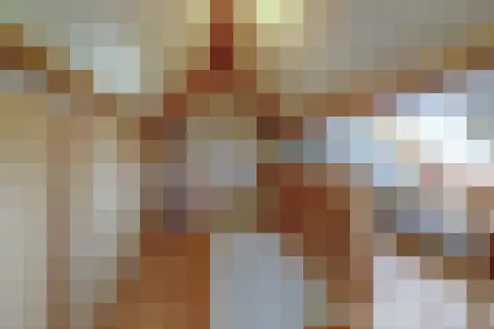De Vijzel 4 Hapert thumbnail 31
