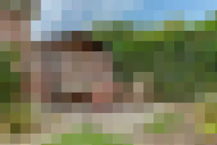 De Vijzel 4 Hapert thumbnail 35