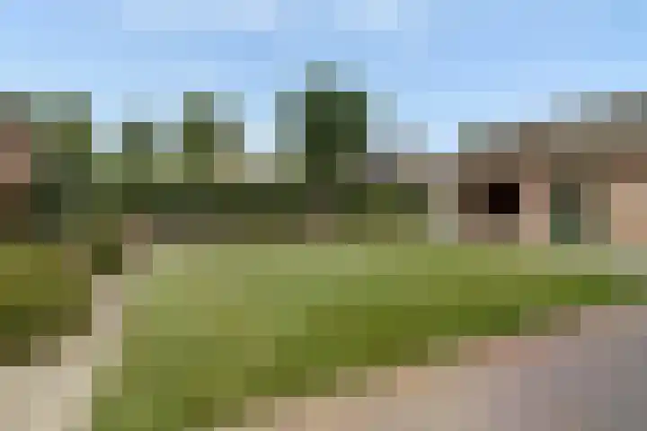 De Vijzel 4 Hapert thumbnail 36