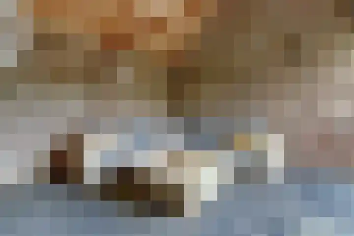 De Vijzel 4 Hapert thumbnail 38