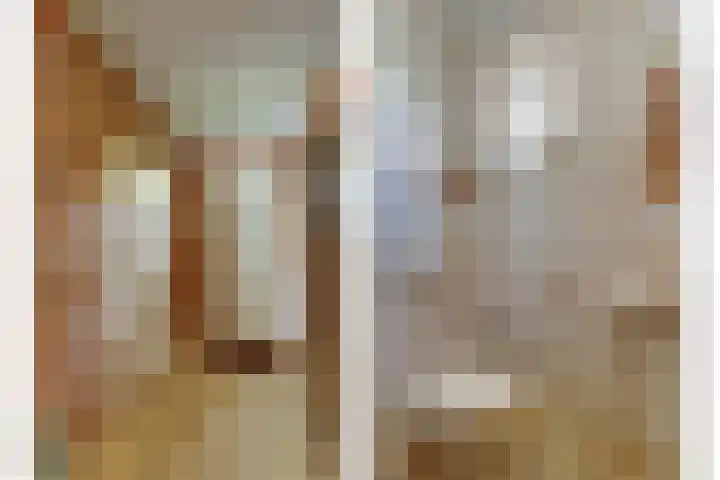 De Vijzel 4 Hapert thumbnail 4