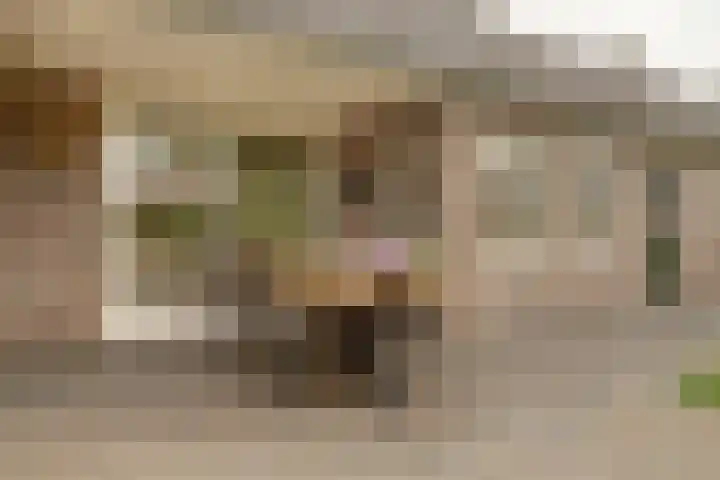 De Vijzel 4 Hapert thumbnail 40