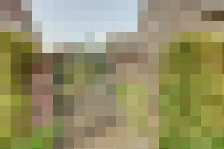 De Vijzel 4 Hapert thumbnail 41