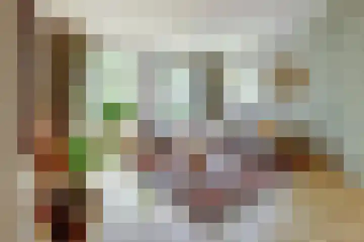 De Vijzel 4 Hapert thumbnail 5