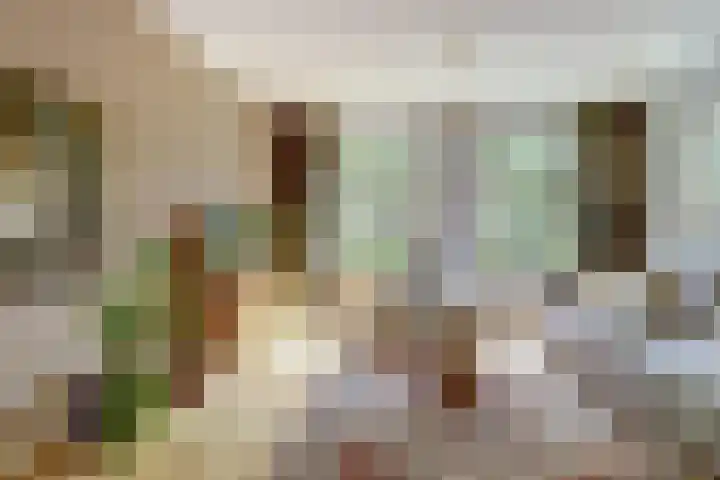 De Vijzel 4 Hapert thumbnail 6