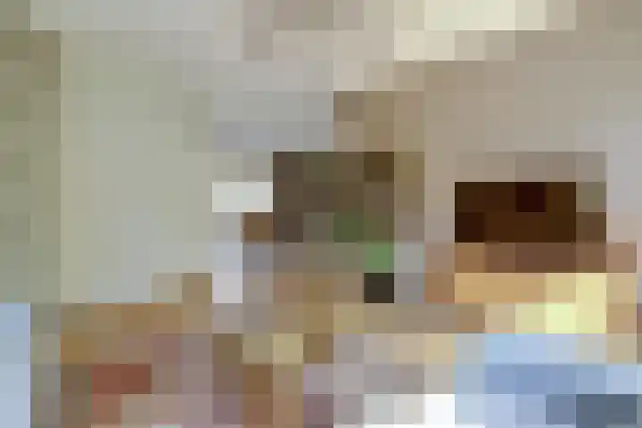 De Vijzel 4 Hapert thumbnail 7
