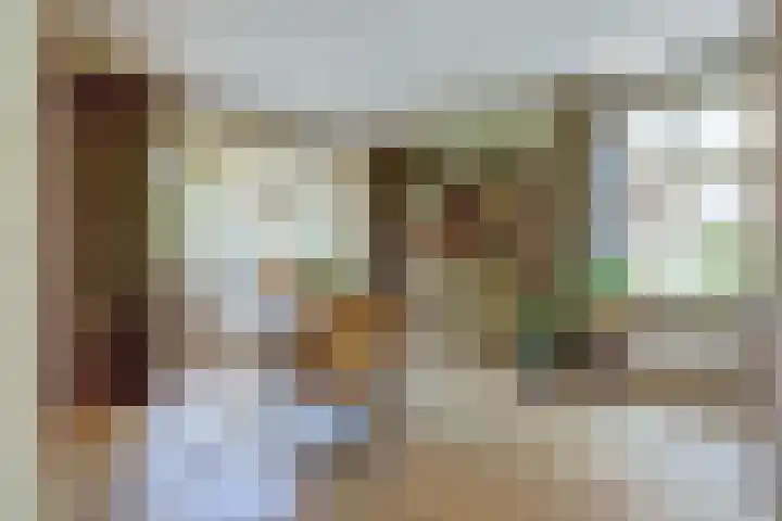 De Vijzel 4 Hapert thumbnail 9