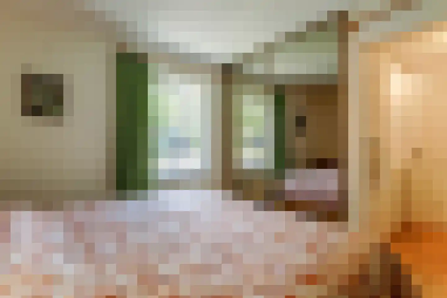 De Vijzel 6 Dirkshorn thumbnail 11