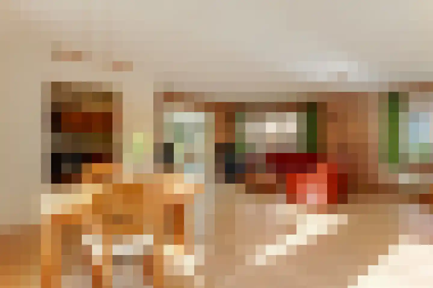 De Vijzel 6 Dirkshorn thumbnail 13