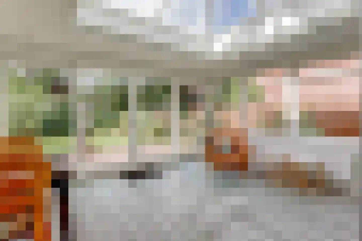 De Vijzel 6 Dirkshorn thumbnail 20