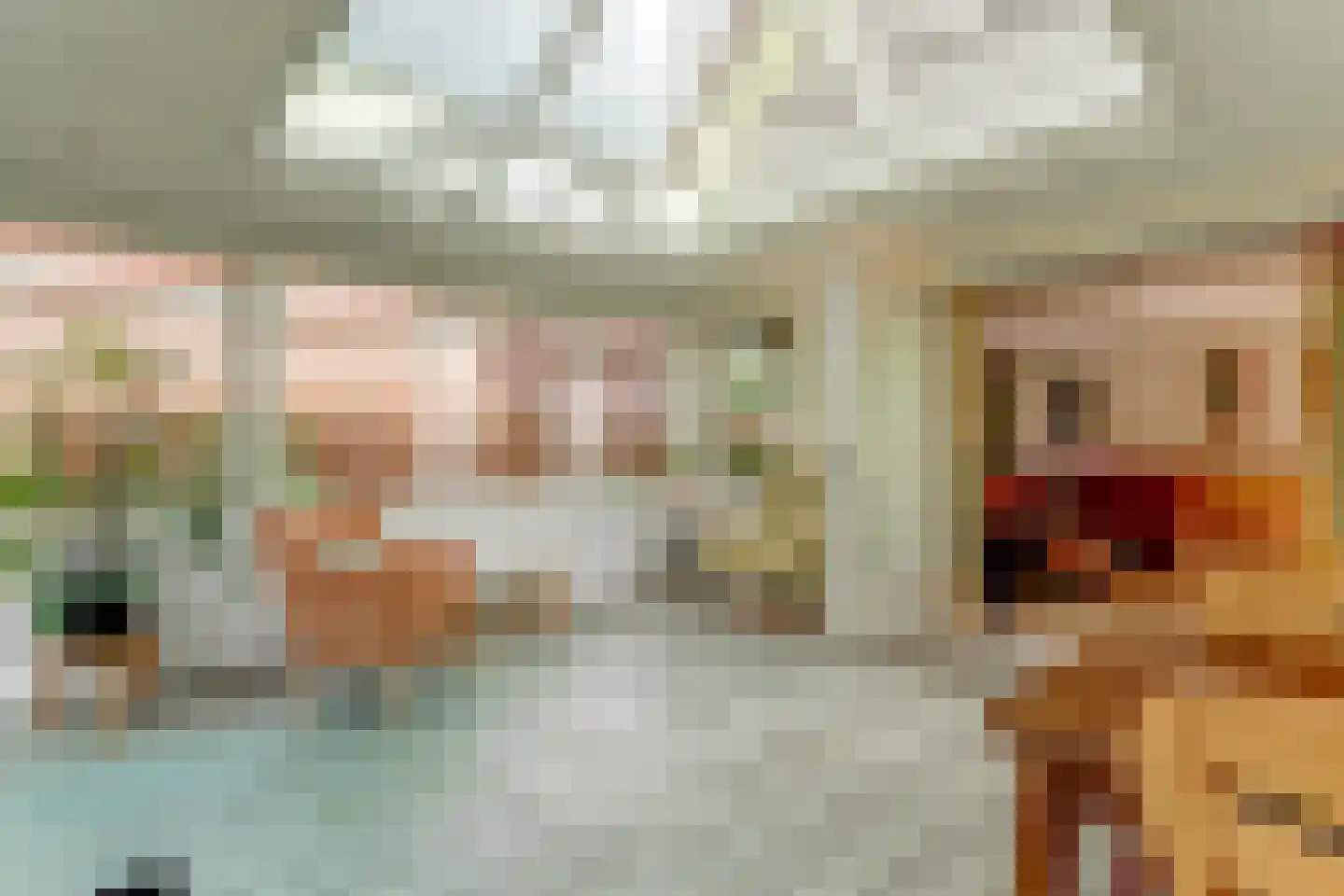 De Vijzel 6 Dirkshorn thumbnail 21