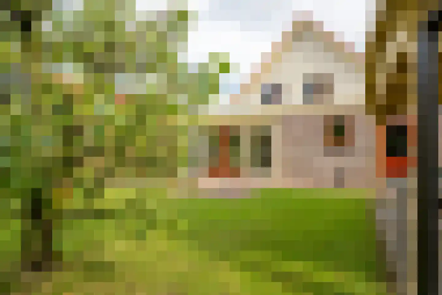 De Vijzel 6 Dirkshorn thumbnail 27