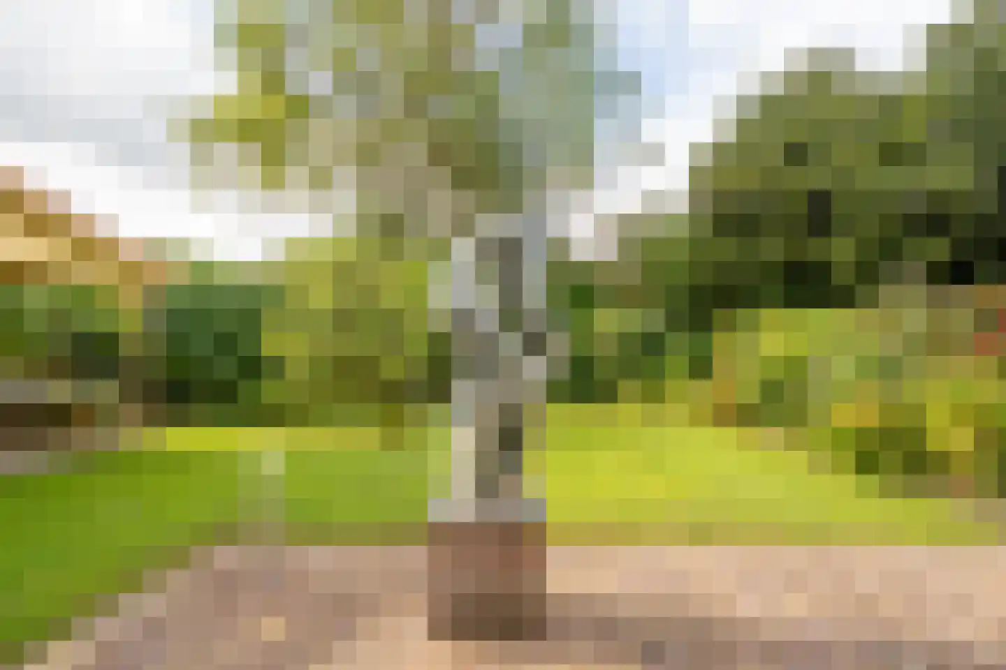 De Vijzel 6 Dirkshorn thumbnail 29