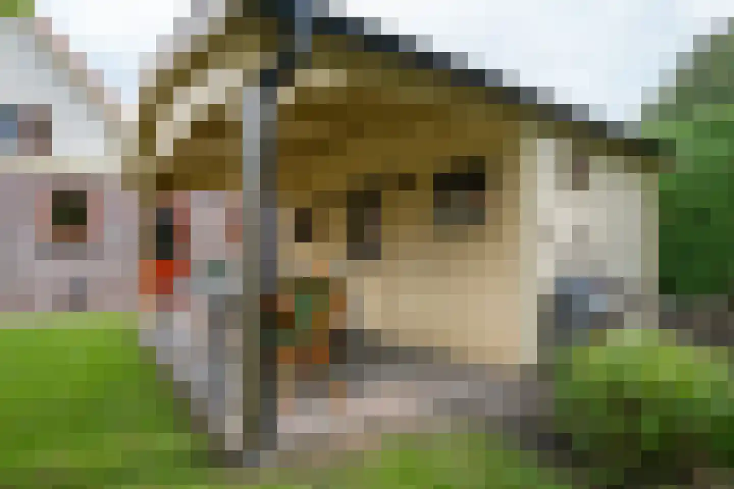 De Vijzel 6 Dirkshorn thumbnail 32