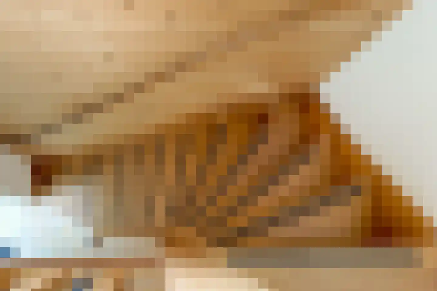 De Vijzel 6 Dirkshorn thumbnail 38