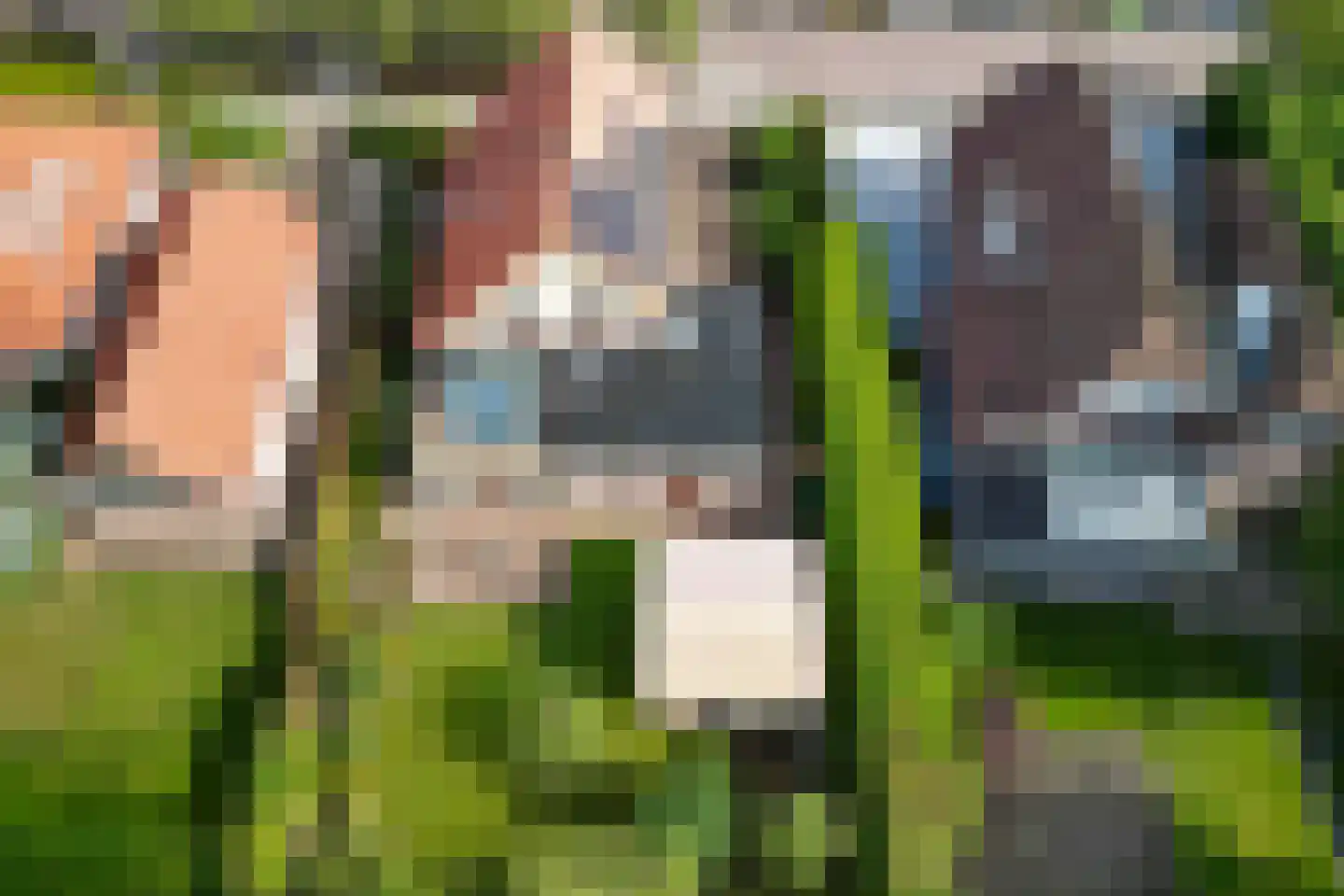 De Vijzel 6 Dirkshorn thumbnail 5