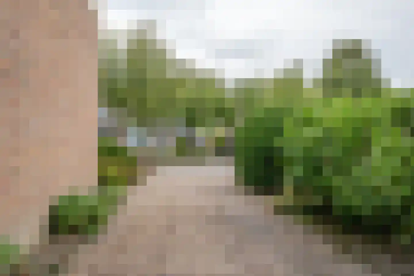 De Vijzel 6 Dirkshorn thumbnail 68