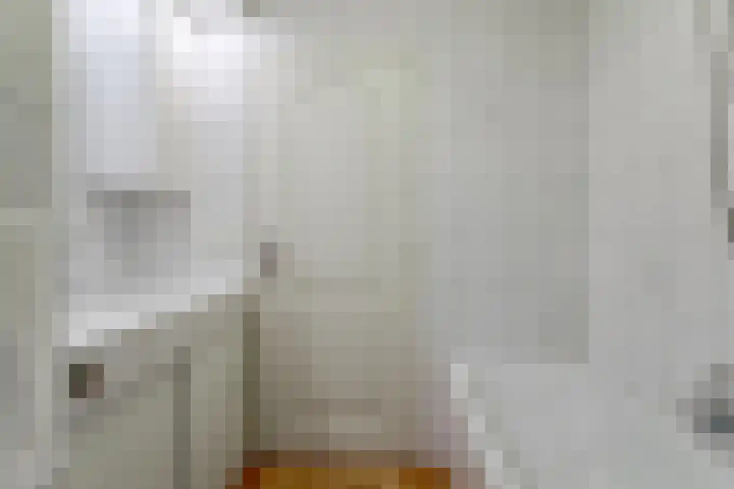 De Vijzel 6 Dirkshorn thumbnail 7