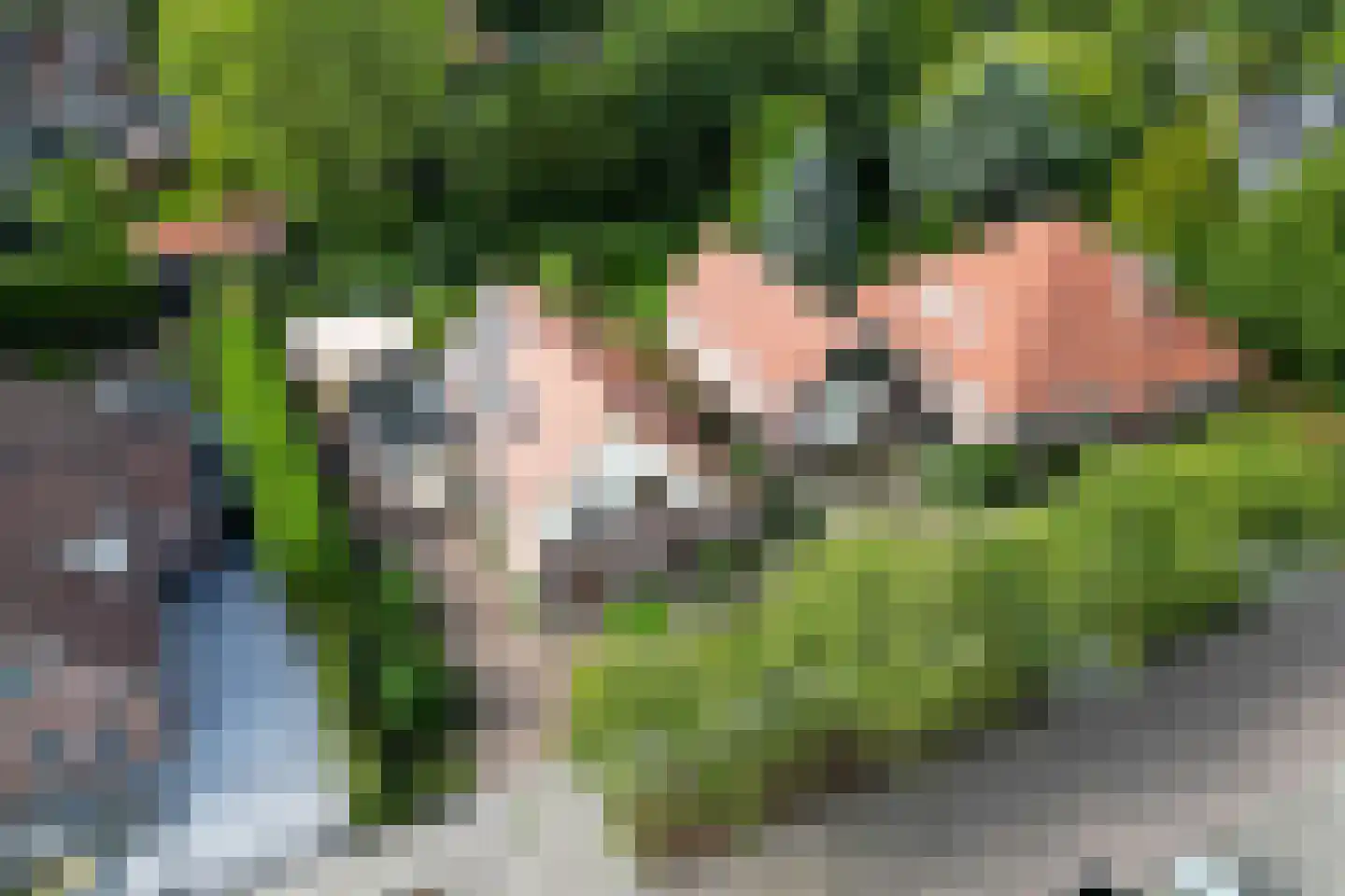De Vijzel 6 Dirkshorn thumbnail 71
