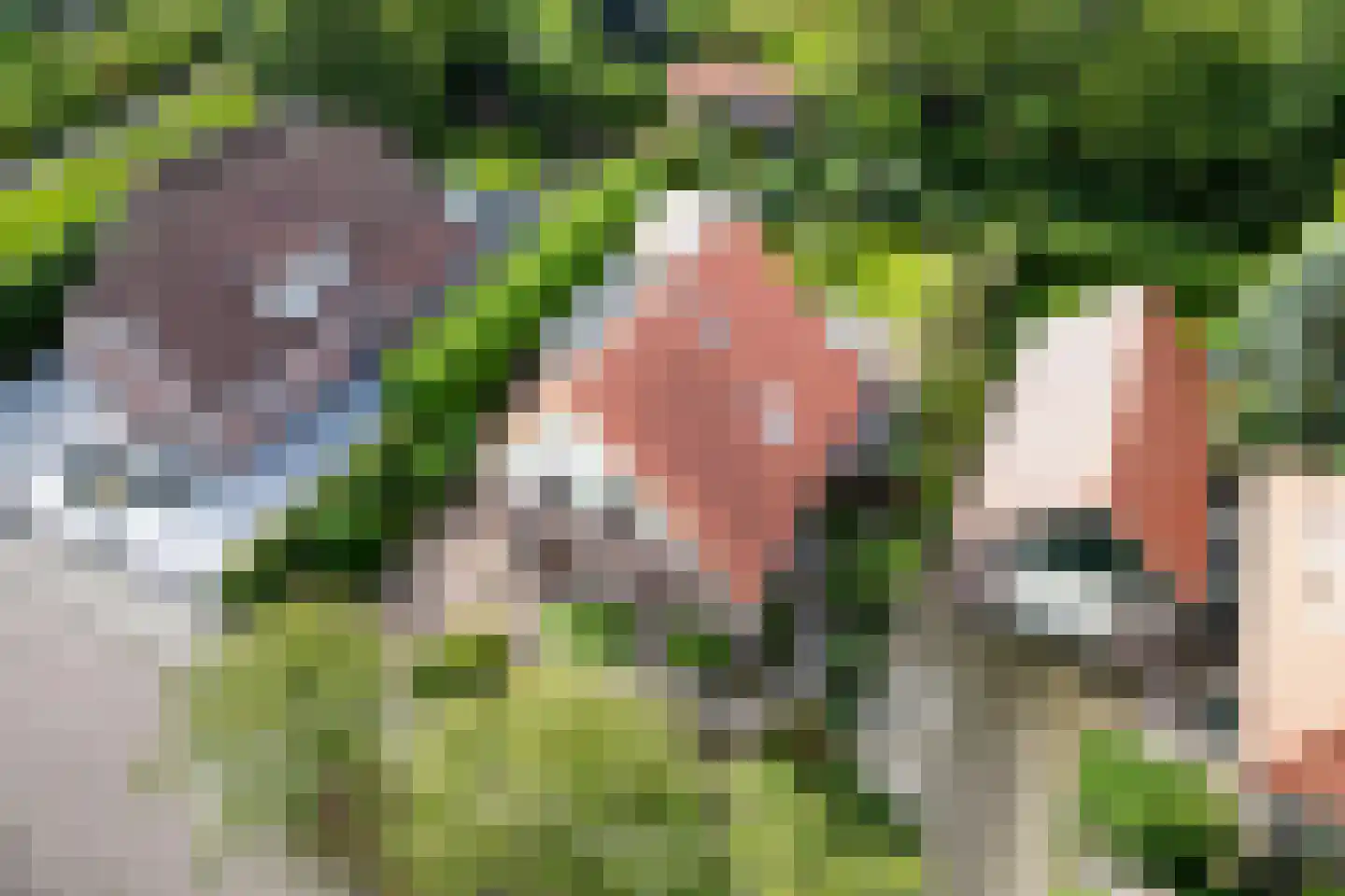 De Vijzel 6 Dirkshorn thumbnail 72