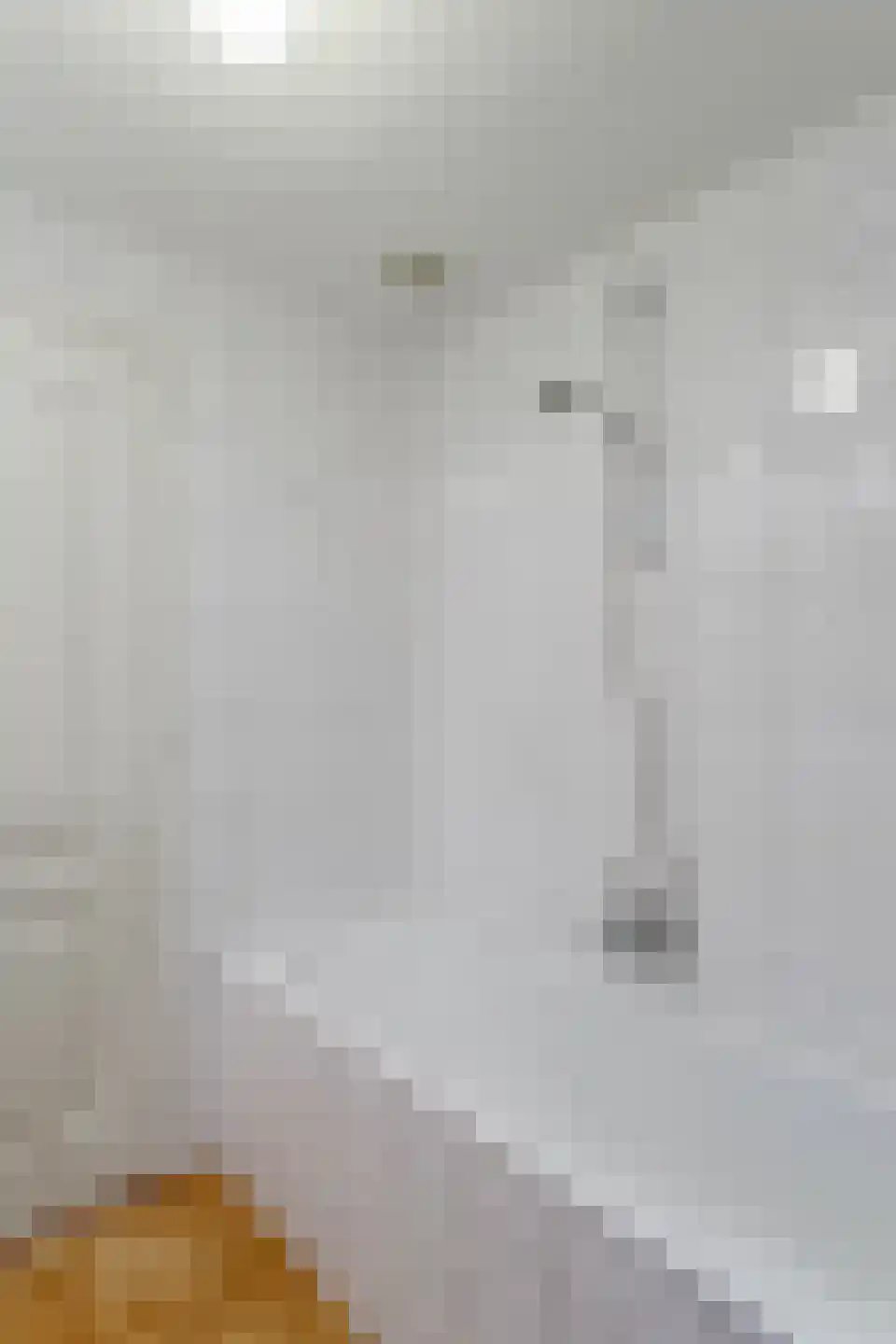 De Vijzel 6 Dirkshorn thumbnail 8