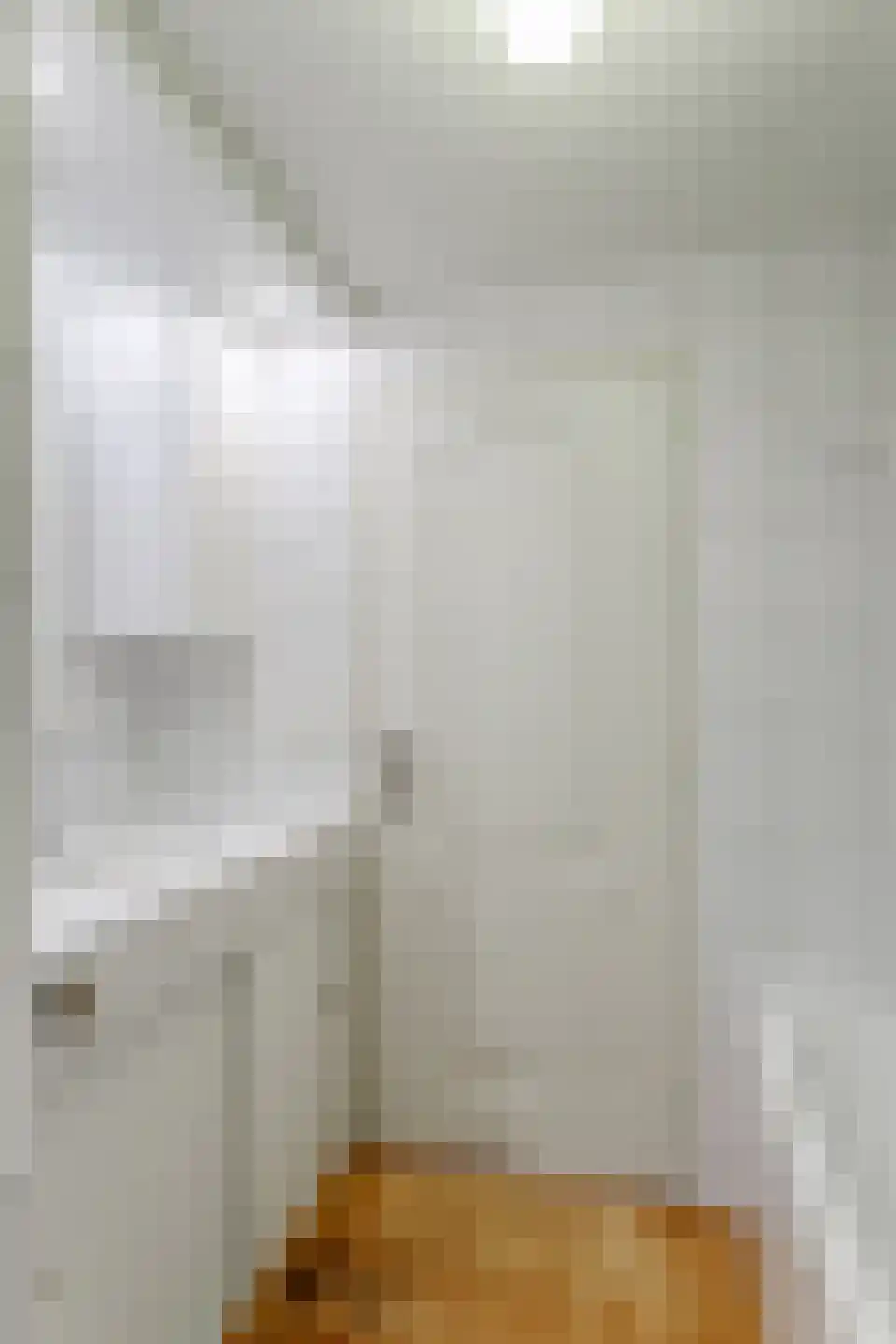 De Vijzel 6 Dirkshorn thumbnail 9