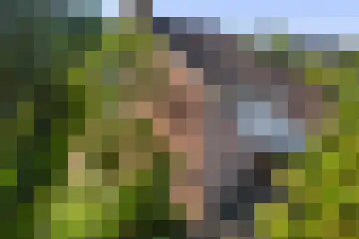 De Vijzel 8 Buitenpost