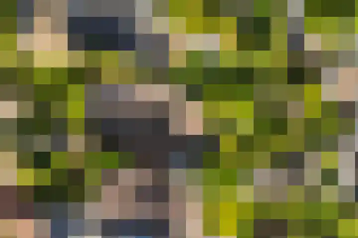 De Vijzel 8 Buitenpost thumbnail 12