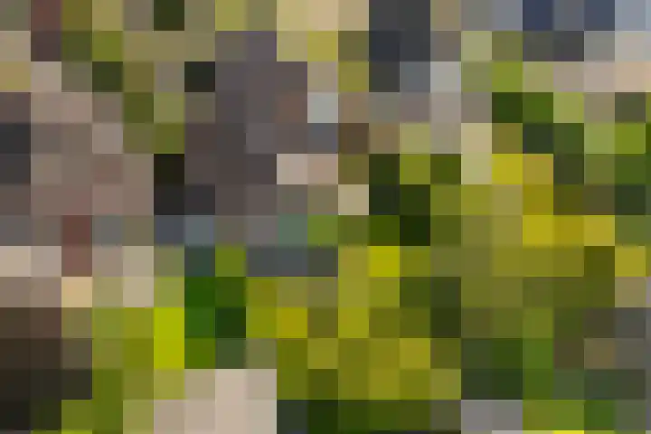 De Vijzel 8 Buitenpost thumbnail 13