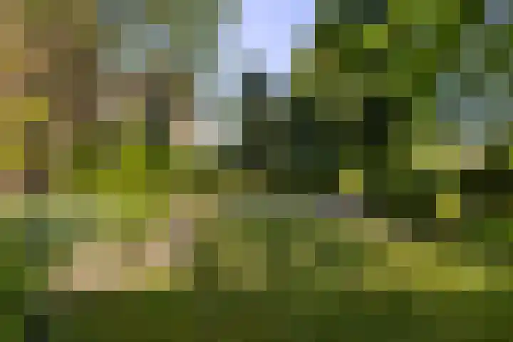 De Vijzel 8 Buitenpost thumbnail 15