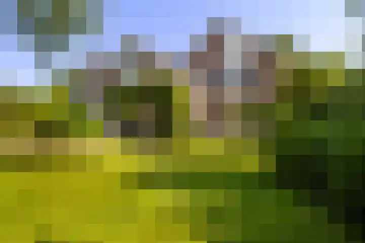 De Vijzel 8 Buitenpost foto 2