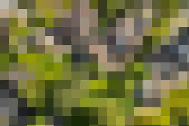 De Vijzel 8 Buitenpost foto 3