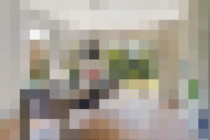 De Vijzel 8 Buitenpost thumbnail 30