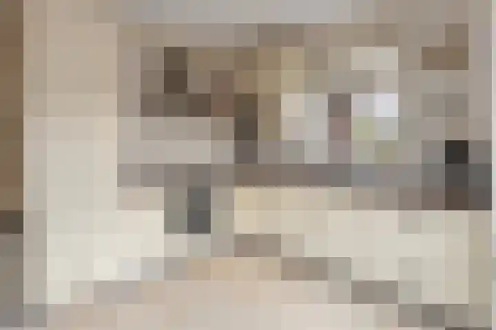 De Vijzel 8 Buitenpost thumbnail 31