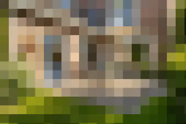 De Vijzel 8 Buitenpost thumbnail 32
