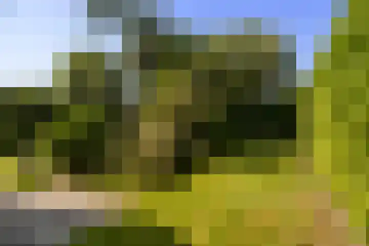 De Vijzel 8 Buitenpost thumbnail 34