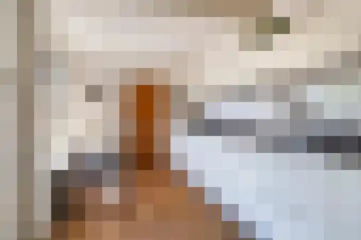 De Vijzel 8 Buitenpost thumbnail 36