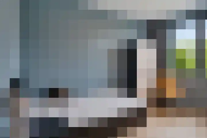 De Vijzel 8 Buitenpost thumbnail 43
