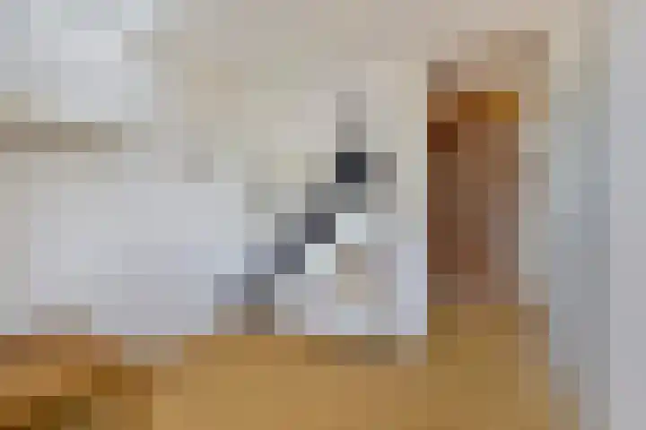 De Vijzel 8 Buitenpost thumbnail 46