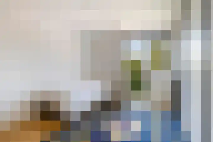 De Vijzel 8 Buitenpost thumbnail 47