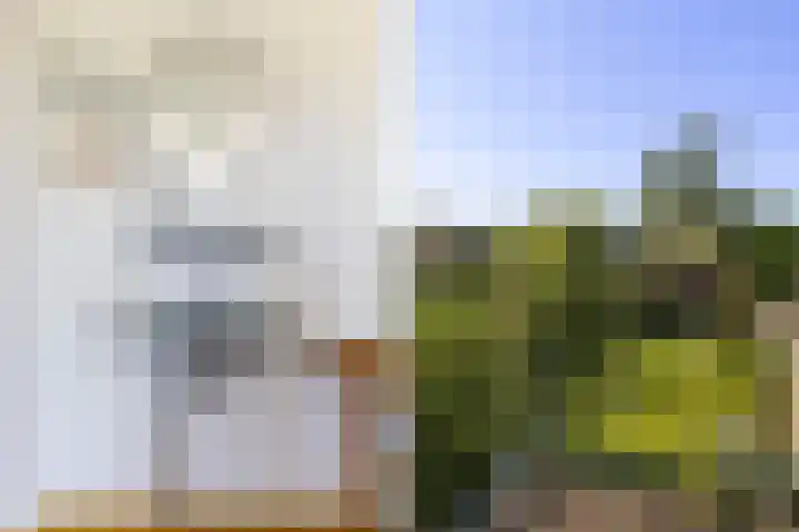 De Vijzel 8 Buitenpost thumbnail 49