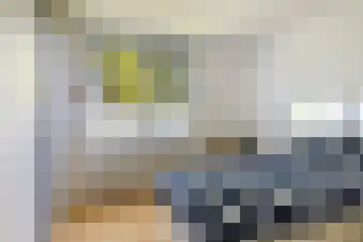 De Vijzel 8 Buitenpost thumbnail 50